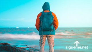 ¿Estoy yo arraigado en Jesús con sincera fidelidad y con amor?