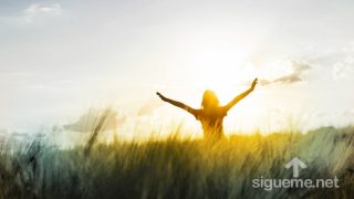 La única manera de llegar a estar bien con Dios es en base a su gracia