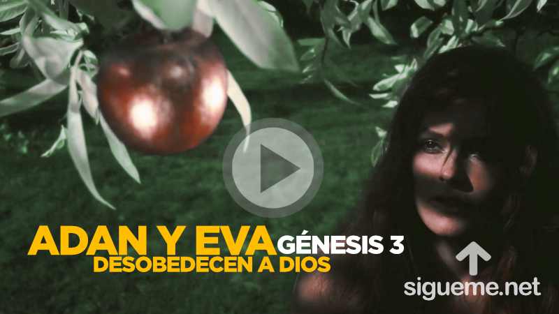 Historia de la Biblia: Adan y Eva desobedecen a Dios y son echados del Huerto del Eden