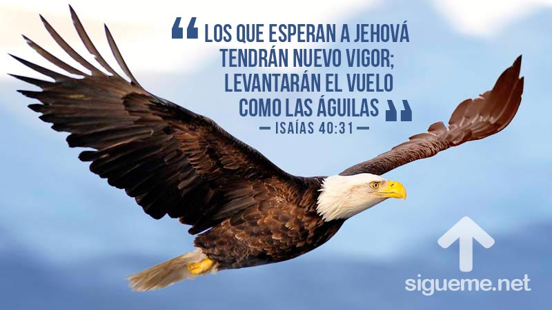 Como las Aguilas | VIDA CRISTIANA | Ilustraciones Cristianas