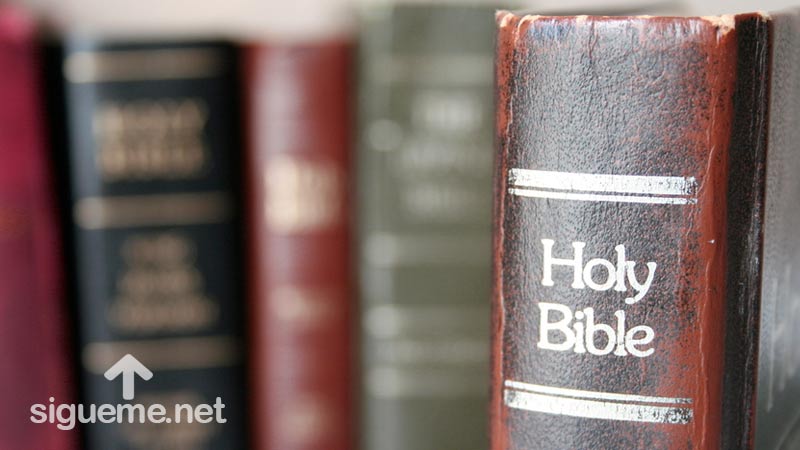 Diferentes versiones y tipos de Biblia