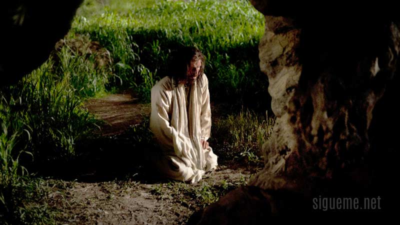 Jesus orando de rodillas delante de Dios
