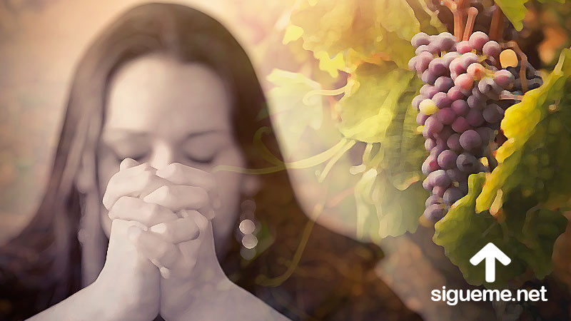 Mujer cristiana orando a Dios por firmeza espiritual y para llevar fruto para Dios