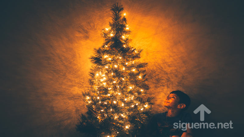 Un Niño contempla el árbol de Navidad