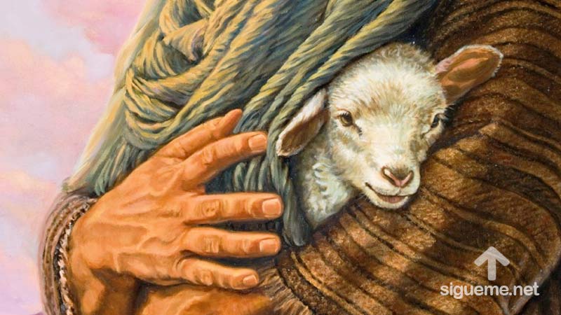 El Buen Pastor cuida sus ovejas