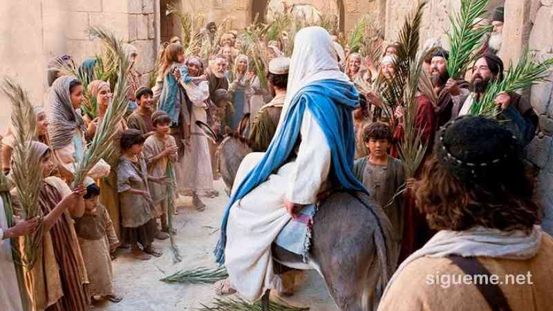 Si Jesús no hubiera entrado en Jerusalén cuando lo hizo, la profecía no se habría cumplido.