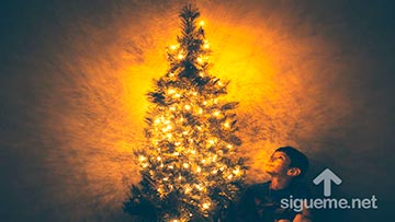 Un Niño contempla el árbol de Navidad